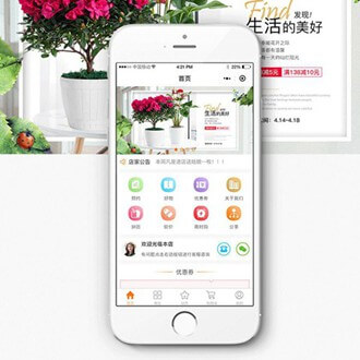 南木林门店微商城小程序开发