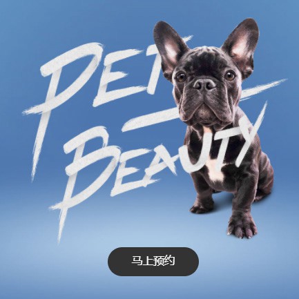 南木林宠物中心小程序开发